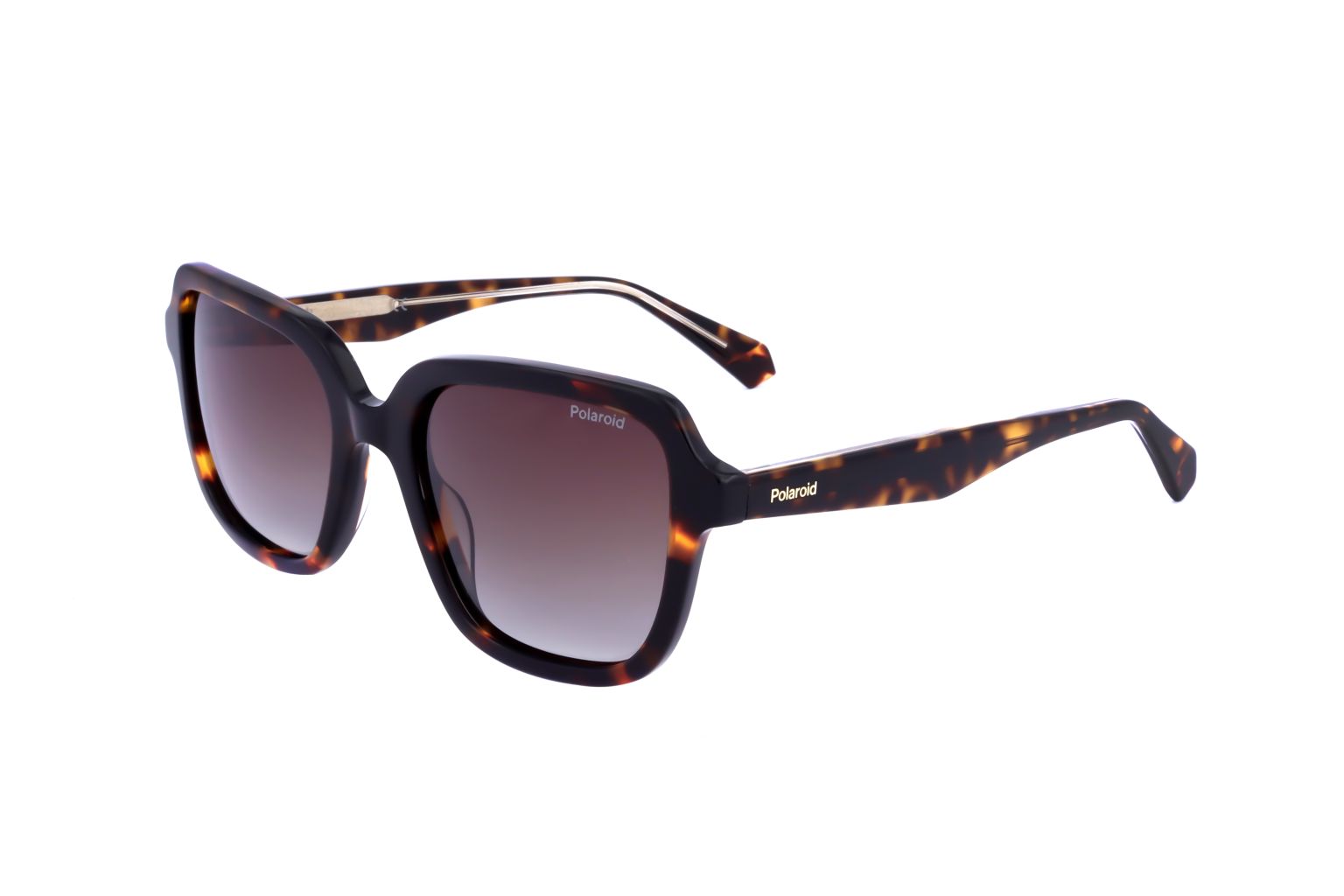 POLAROID - SUN PLD 4095 S X 086 53 19 145