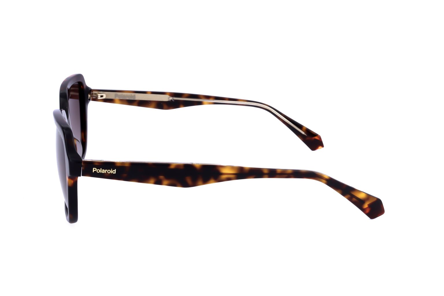 POLAROID - SUN PLD 4095 S X 086 53 19 145-3