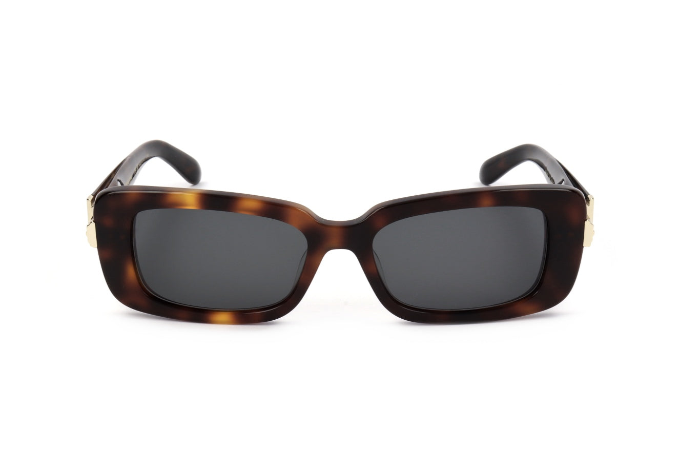 FERRAGAMO - SUN SF1105S 240 52 17 135